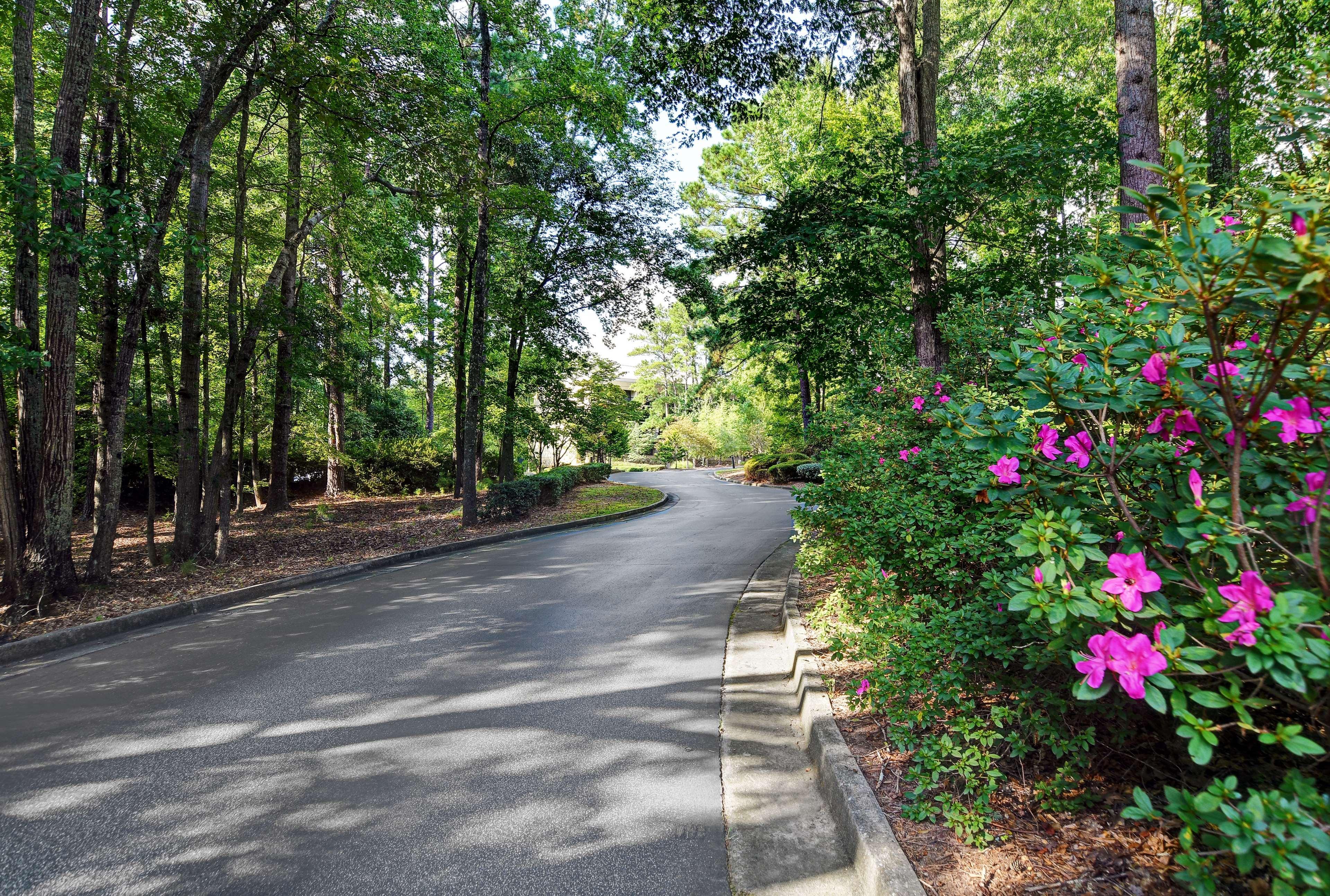 Hilton Peachtree City Atlanta Hotel & Conference Center Esterno foto